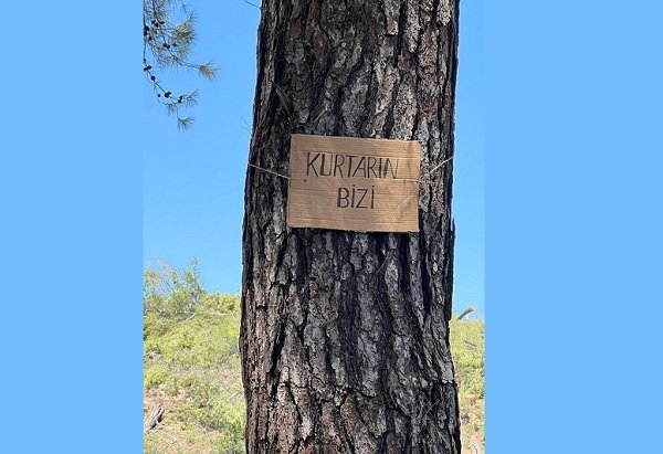 Bodrum Belediye Başkanı Ahmet Aras'tan, YK Enerji Şirketi tarafından yapılan kamuoyu açıklamasına cevap geldi