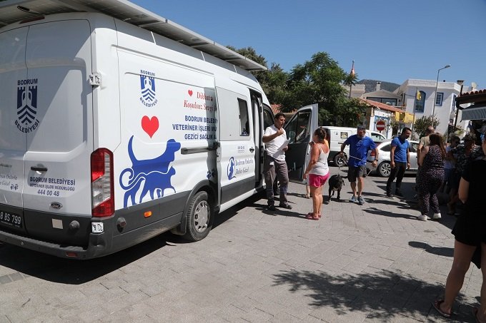 Bodrum Belediyesi gezici veteriner ekibi 56 mahallede hizmet verecek