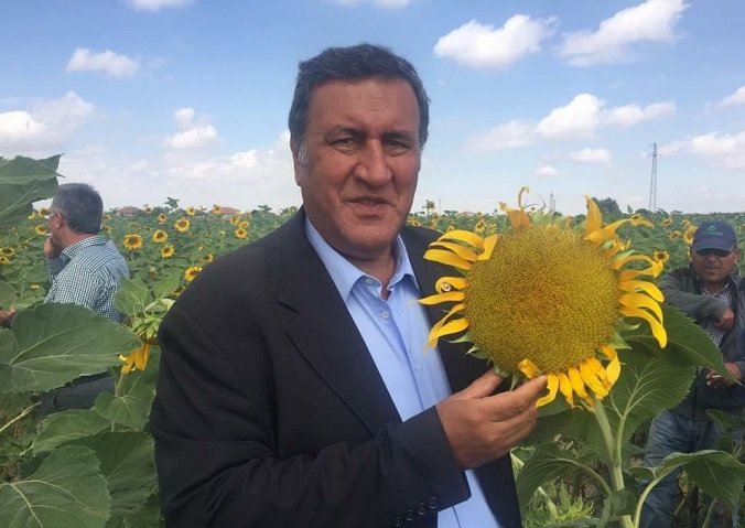 CHP'li Gürer; 'Ayçiçek tüccar alım fiyatı da çiftçiyi mutlu etmedi'