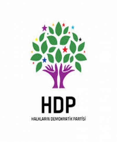 HDP'den hazine yardımı açıklaması