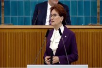 Meral Akşener; Baharla birlikte yenilenmemize çok az kaldı!