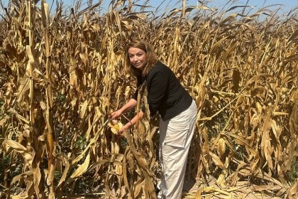 CHP'li Kara; Tüm maliyetler karşısında iktidarın mısıra reva gördüğü fiyat ton başına 6.000 TL; çiftçiye ‘artık üretme’ diyor!