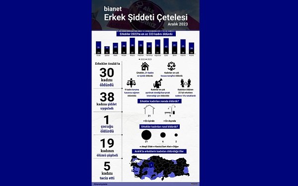 Erkekler Aralık'ta en az 30 kadını ve bir çocuğu öldürdü