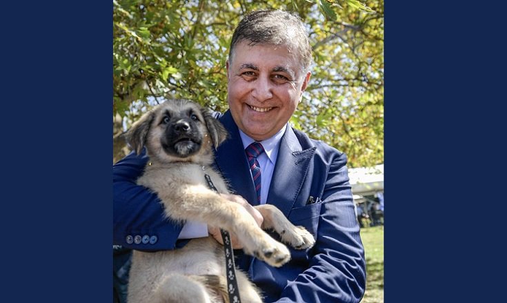 İzmir Büyükşehir Belediyesi; Bir can dost sahiplenerek onların hayatını güzelleştirmek ister misiniz? İzmir Büyükşehir Belediyesi; Bir can dost sahiplenerek onların hayatını güzelleştirmek ister misiniz?