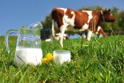 Çiğ süt üretimi 2023 yılında %0,4 azalarak 21 milyon 481 bin 567 ton oldu