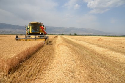 Tarımsal girdi fiyat endeksi (Tarım-GFE) yıllık %49,92, aylık %3,59 arttı