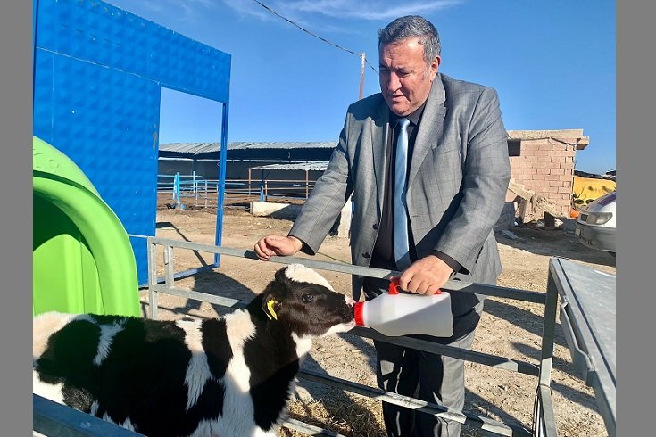 CHP'li Gürer: Sütün kaymağını üreten de tüketen de yiyemiyor!