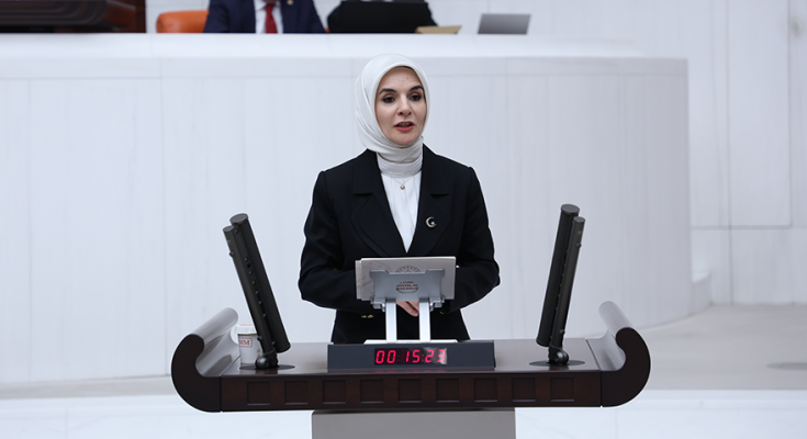TBMM'de Aile ve Sosyal Hizmetler Bakanı Mahinur Özdemir Göktaş, Bakanlığının 2026 yılı bütçesinin sunumunu yaptı