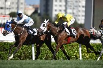 99. Gazi Koşusu’nu Jokey Ahmet Çelik 8. kez Cutha ile kazandı