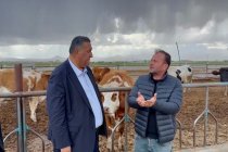 CHP'li Gürer: 'Çiğ süt krize doğru koşuyor; yem pahalı, süt ucuz. 3 yılda 1,5 milyon hayvan ithalatına rağmen et üretimi de düştü!'