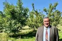 CHP'li Gürer: Zirai don nedeniyle meyve fiyatları patladı
