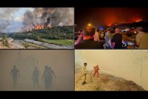 Karabük'ün Safranbolu ilçesinde ormanlık alanda çıkan yangına müdahale beşinci günde devam ediyor