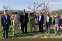 Sahte bal arıcılığı bitiriyor, denetimler yetersiz