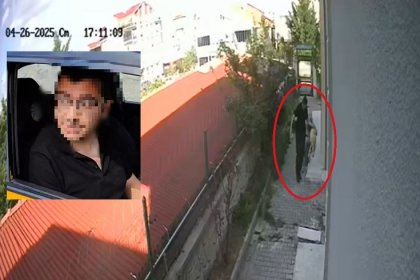 Ankara’da çok sayıda sahiplendiği yavru köpeği katlettiği iddia edilen doktorun davasında tutukluluğunun devamına karar verildi
