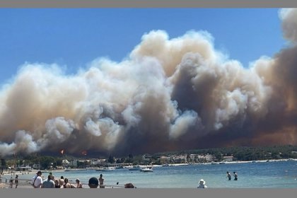 Çanakkale'deki orman yangını rüzgarın etkisiyle geniş bir alana yayıldı