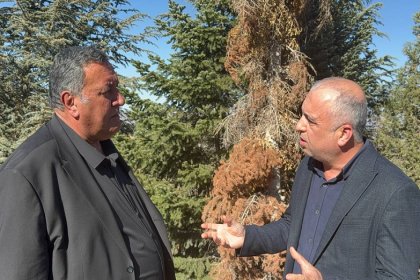 CHP'li Ömer Fethi Gürer: Orman yangınlarından sonra orman zararlıları ormanları tüketiyor!