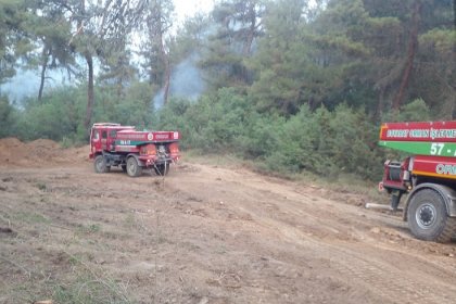 İBB Sakarya'da orman yangınına müdahale ediyor
