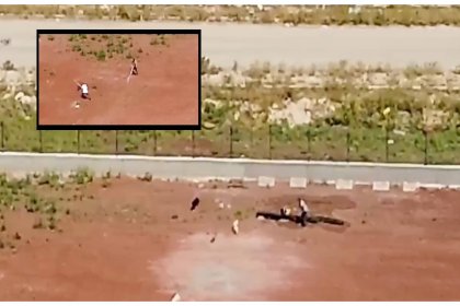Kars'ta barınaktaki köpeklere işkence edenlere valilik soruşturma açtı