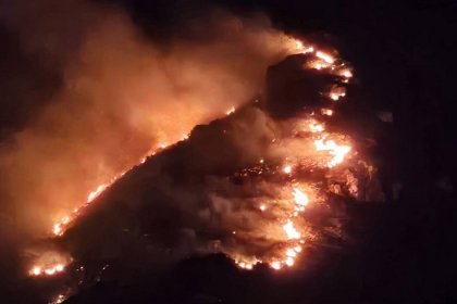 Marmara Adası'nda orman yangını çıktı