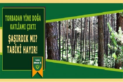 Tarım Orman-İş Sendikası; 'Torbadan yine doğa katliamı çıktı; TBMM'de, zeytinlikte, ormanda, merada, köyde halkımızla el ele, sırt sırta vererek birlikte mücadele edeceğiz!'