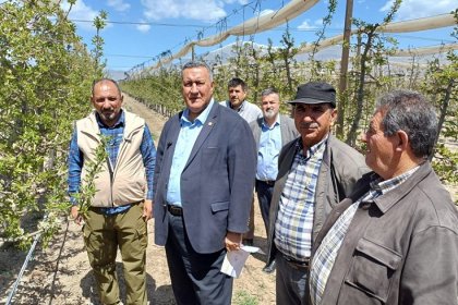 Üreticinin çığlığı: Bu yıl ürün yok!