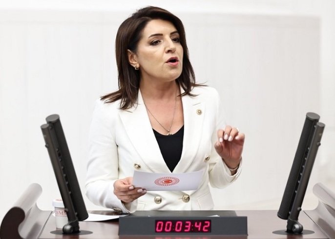CHP'li Gülcan Kış; Vatandaş yolda da köprüde de sürekli para ödemek zorunda mı? CHP'li Gülcan Kış; Vatandaş yolda da köprüde de sürekli para ödemek zorunda mı?