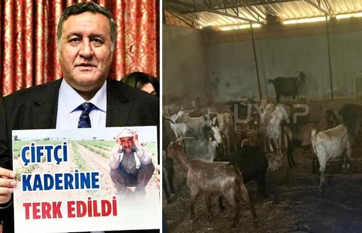 CHP'li Gürer: Ev, tarla, eşya, traktör, sığır, ürün, koyun, güvercin derken keçiler de icralık oldu. Keçiler için de icra kapıya dayandı! CHP'li Gürer: Ev, tarla, eşya, traktör, sığır, ürün, koyun, güvercin derken keçiler de icralık oldu. Keçiler için de icra kapıya dayandı!