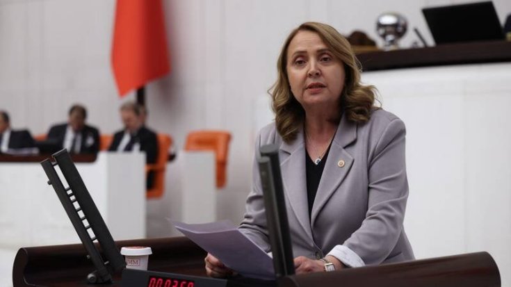 CHP'li Semra Dinçer: Yüz binlerce otizmli çocuk eğitim sisteminin dışında bırakılıyor