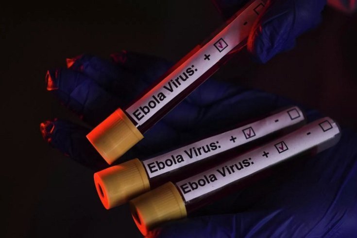 Dünya Sağlık Örgütü'nden Ebola salgını uyarısı: Can kaybı 3 bin 500'ü aştı Dünya Sağlık Örgütü'nden Ebola salgını uyarısı: Can kaybı 3 bin 500'ü aştı