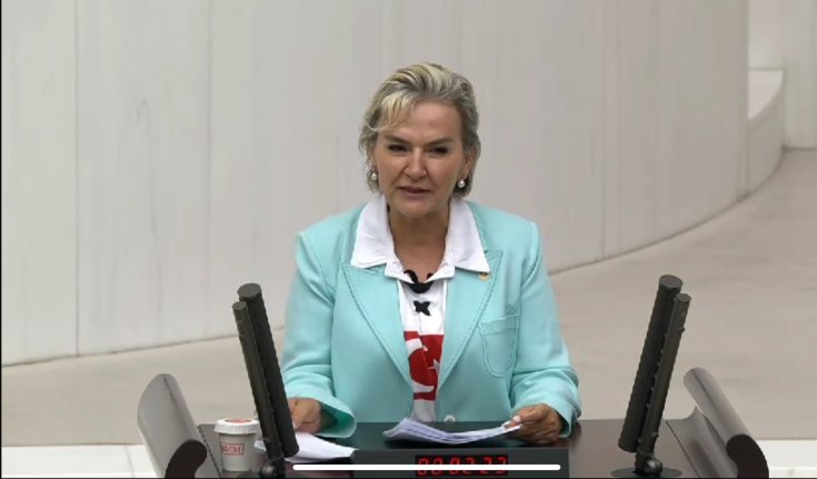 İstanbul Milletvekili Nimet Özdemir CHP'den istifa etti