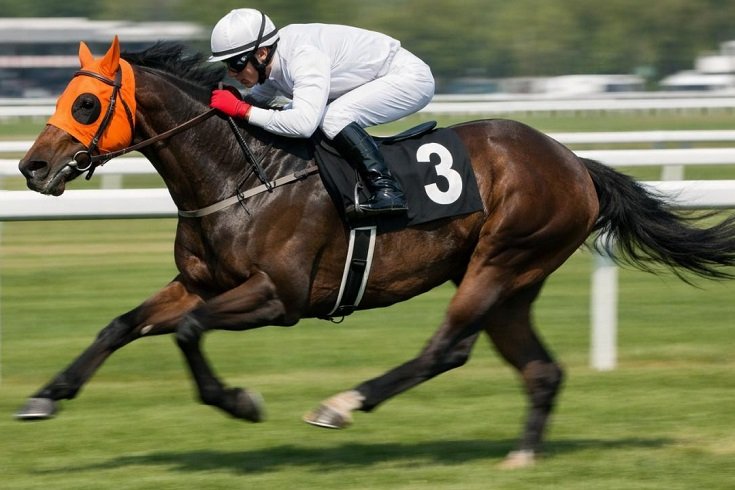 Kesilip kavurma yapılan yarış atı sahibi iş insanına 132 bin TL ceza kesildi