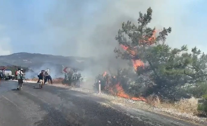 Türkiye'de alevlerle mücadele sürüyor: Aydın, Çine'de orman yangını rüzgarla büyüdü