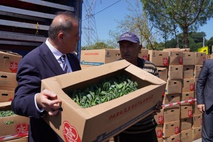 İBB Başkanvekili Nuri Aslan, Şile’de çiftçilere ücretsiz kışlık sebze fidesi dağıttı