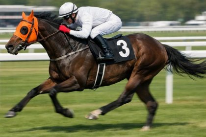 Kesilip kavurma yapılan yarış atı sahibi iş insanına 132 bin TL ceza kesildi