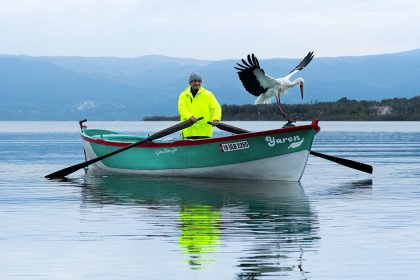 Yaban Hayatı Fotoğrafçısı Alper Tüydeş yaptığı paylaşım ile Yaren Leyleğin geldiğini müjdeledi